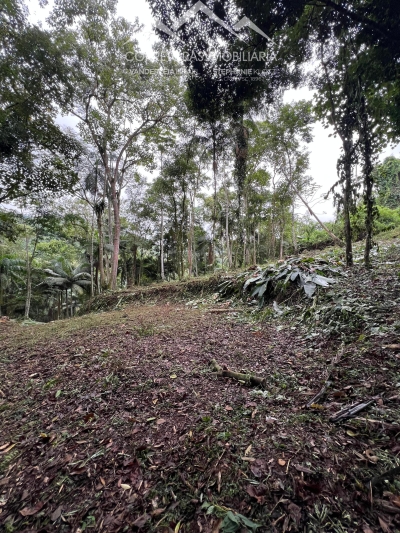 TERRENO - Wunderwald, Pomerode SC