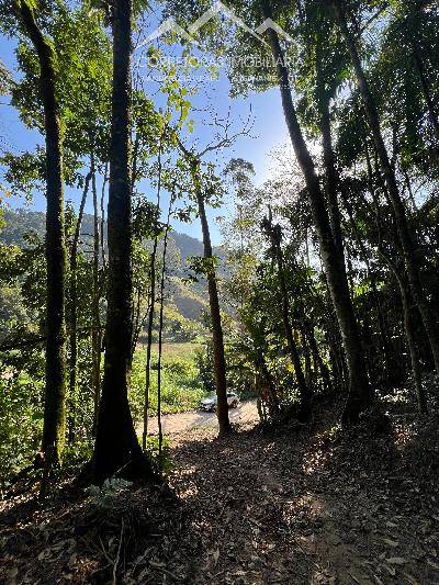 TERRENO RURAL - Wunderwald, Pomerode SC
