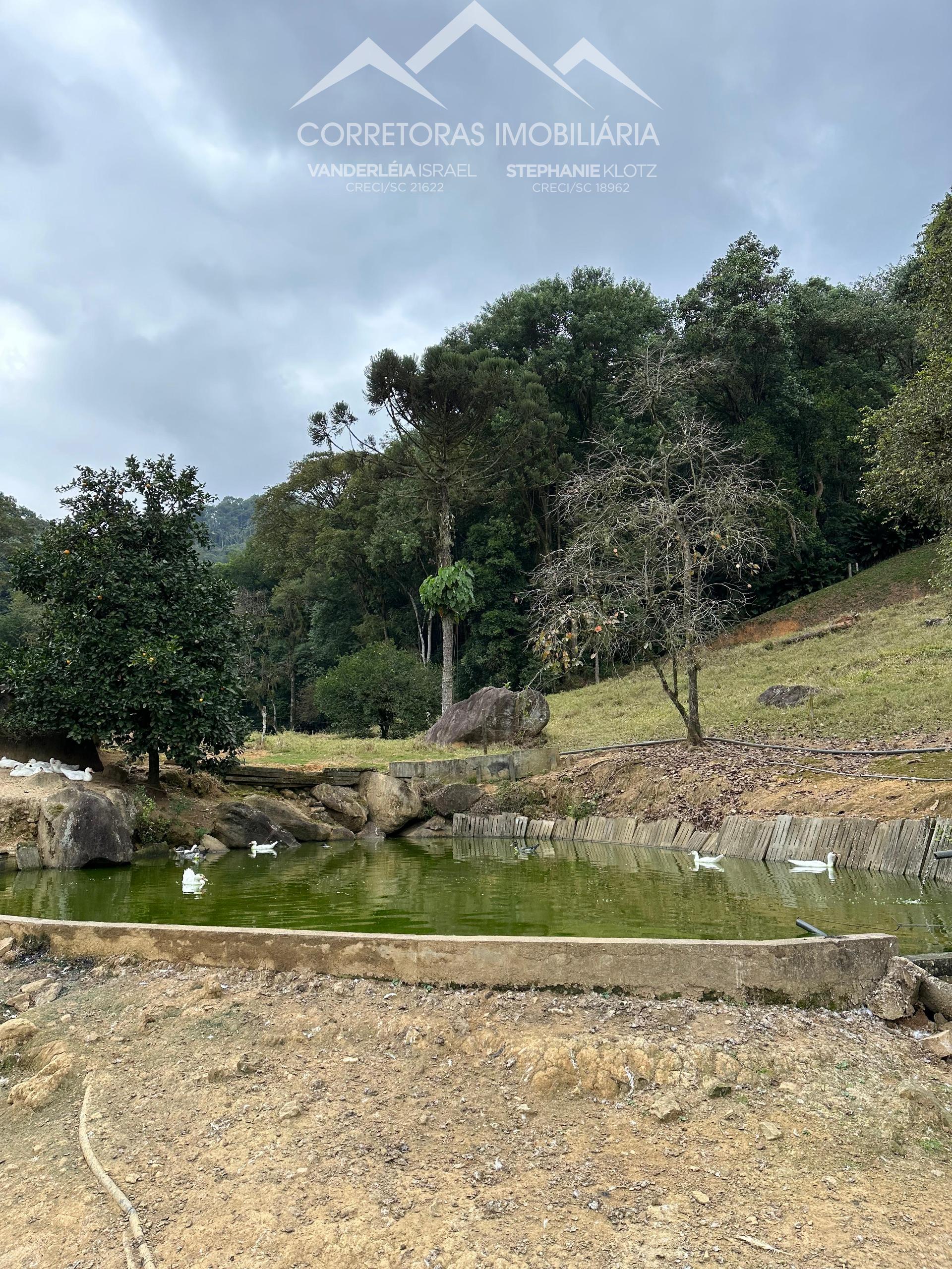 SÍTIO, Rio dos Cedros - SC
