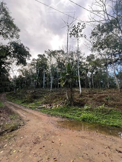 TERRENO - Wunderwald, Pomerode SC