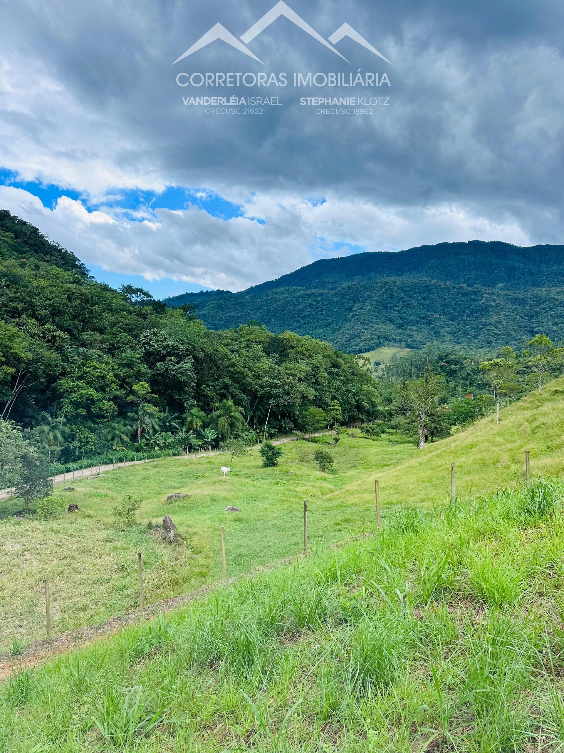 TERRENO, Testo Alto, Pomerode - SC — foto 7