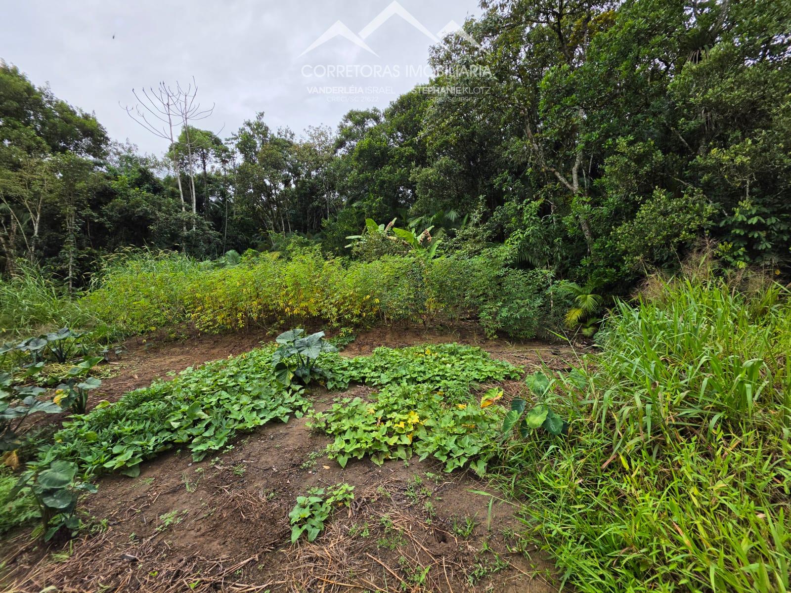 TERRENO - Testo Rega, Pomerode SC — foto 5