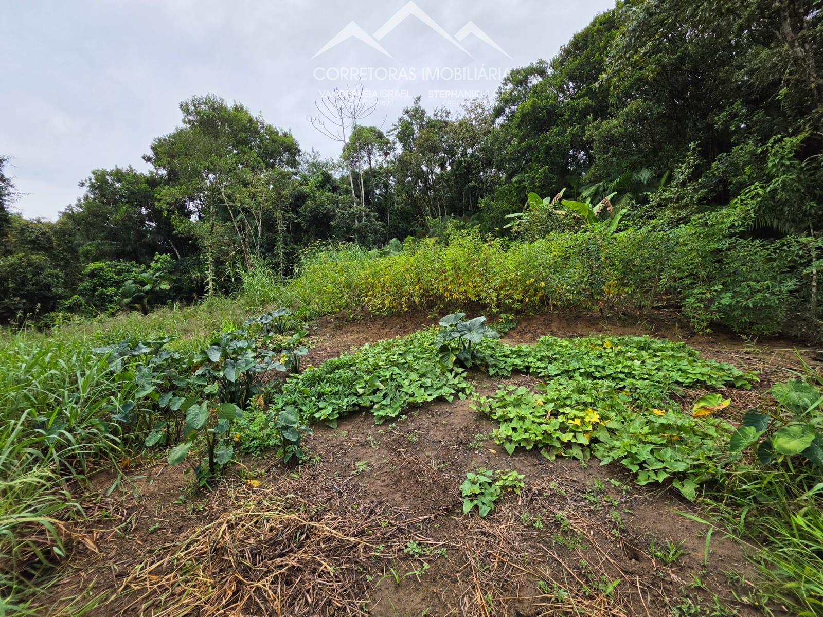 TERRENO - Testo Rega, Pomerode SC — foto 7