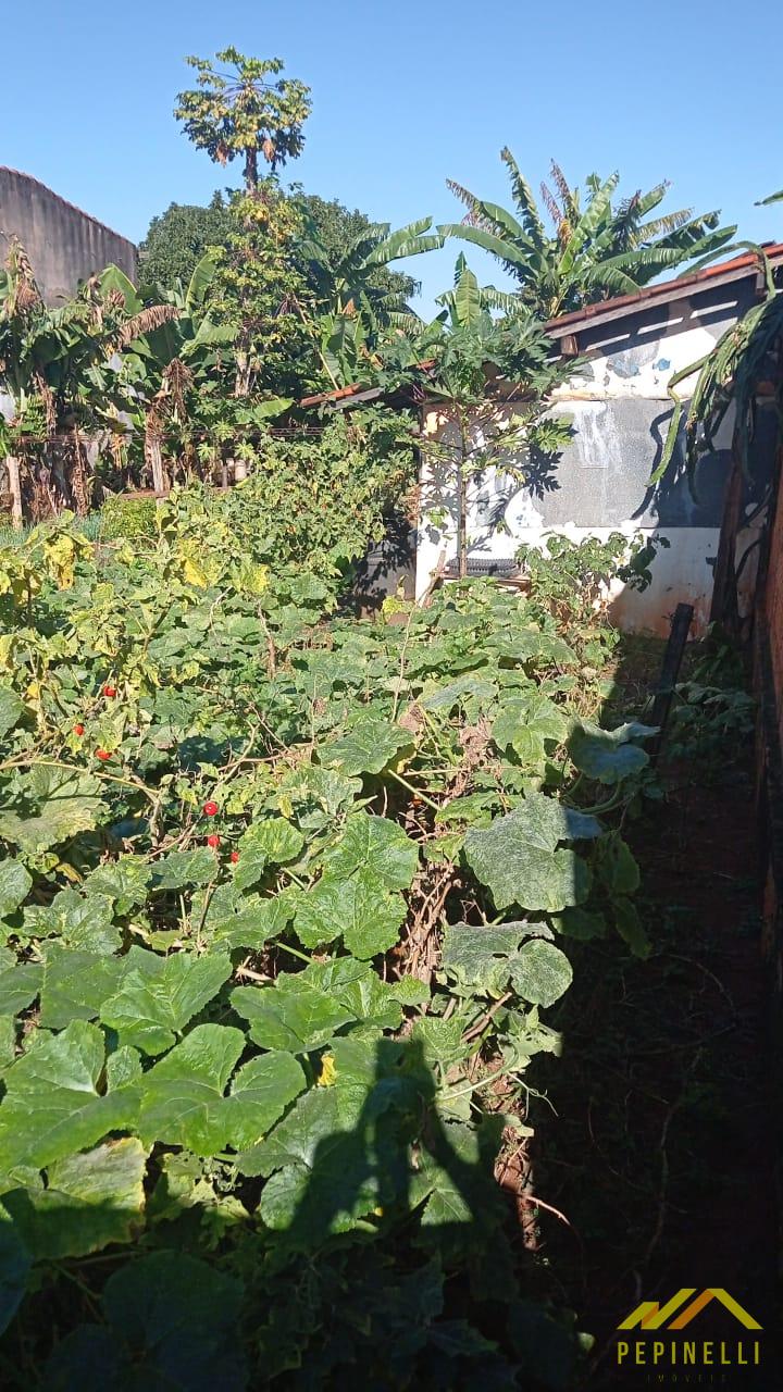 Terreno à venda, Ibirapuera, BARRETOS - SP