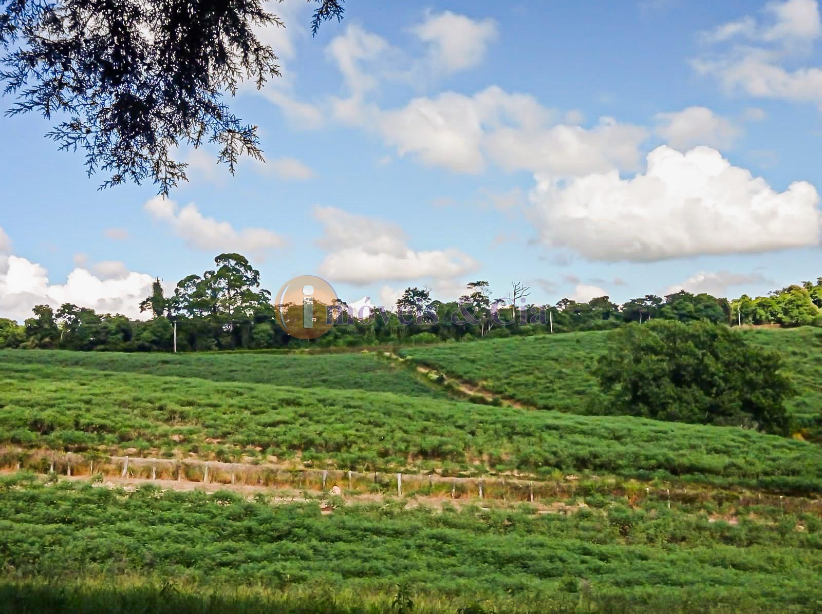Gleba em Atibaia-SP com 20.535m  - 190m de frente e vista linda