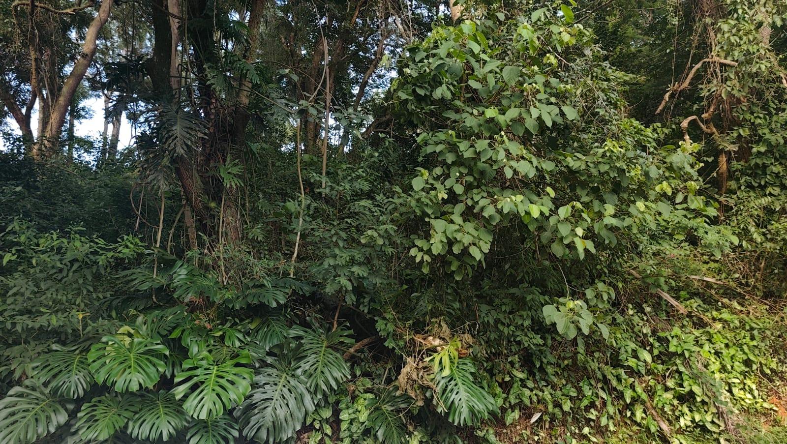 TERRENOS EM SERRA NEGRA- CIRCUITO DFAS ÁGUAS