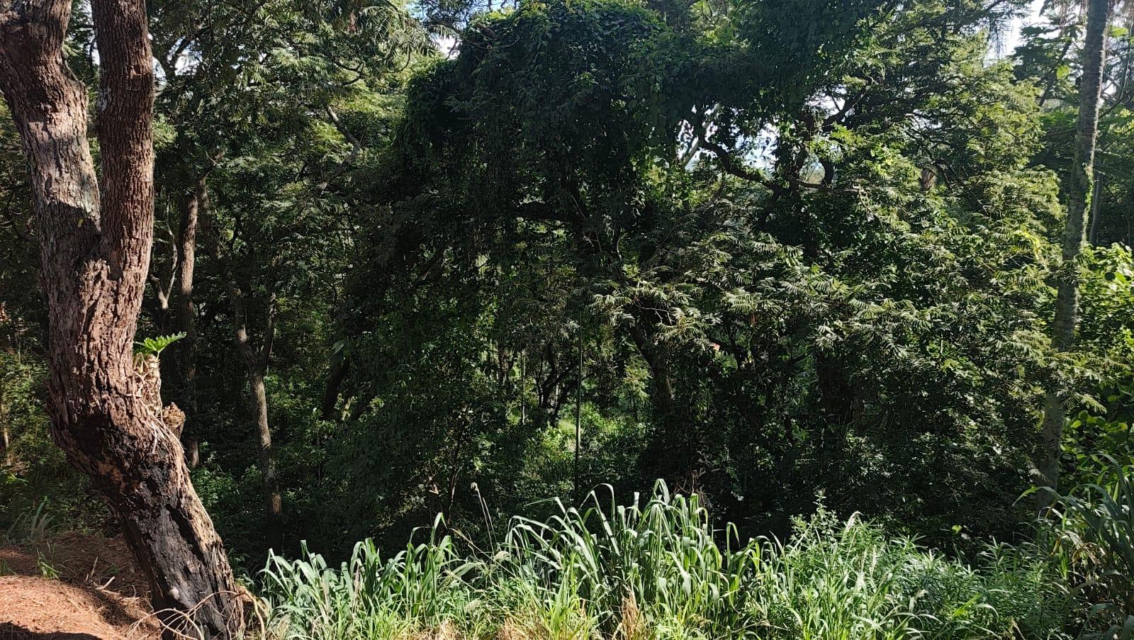 TERRENOS EM SERRA NEGRA- CIRCUITO DAS AGUAS