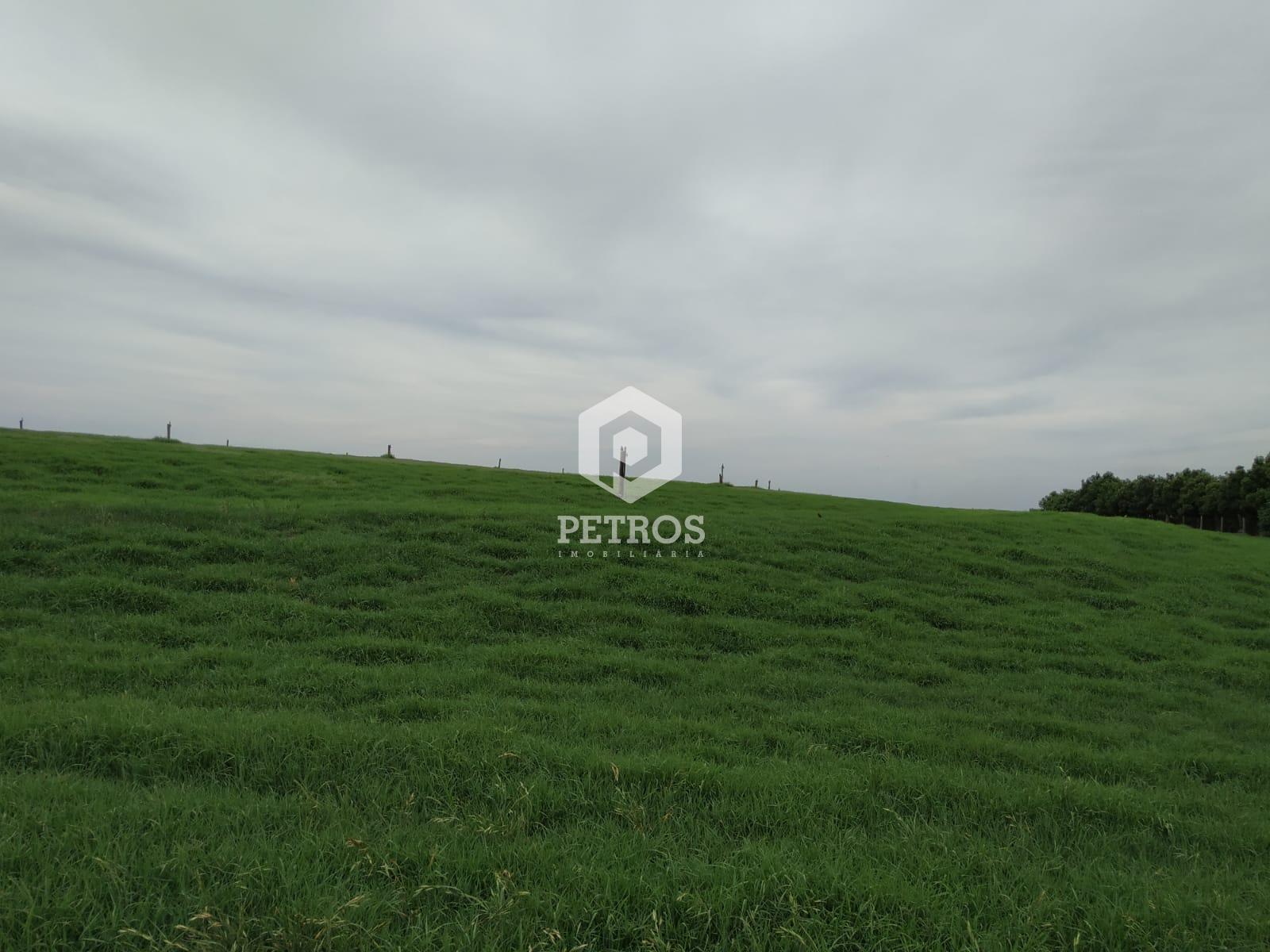 Imobiliria Petros em Toledo Paran