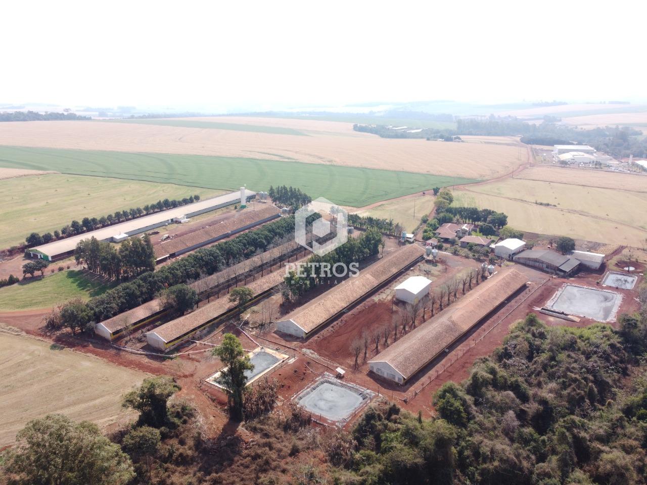 Imobiliria Petros em Toledo Paran