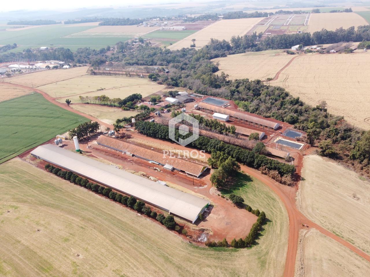 Imobiliria Petros em Toledo Paran