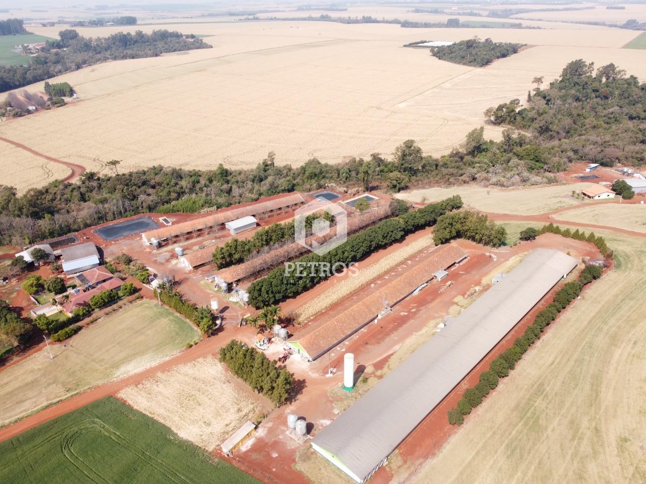 Imobiliria Petros em Toledo Paran