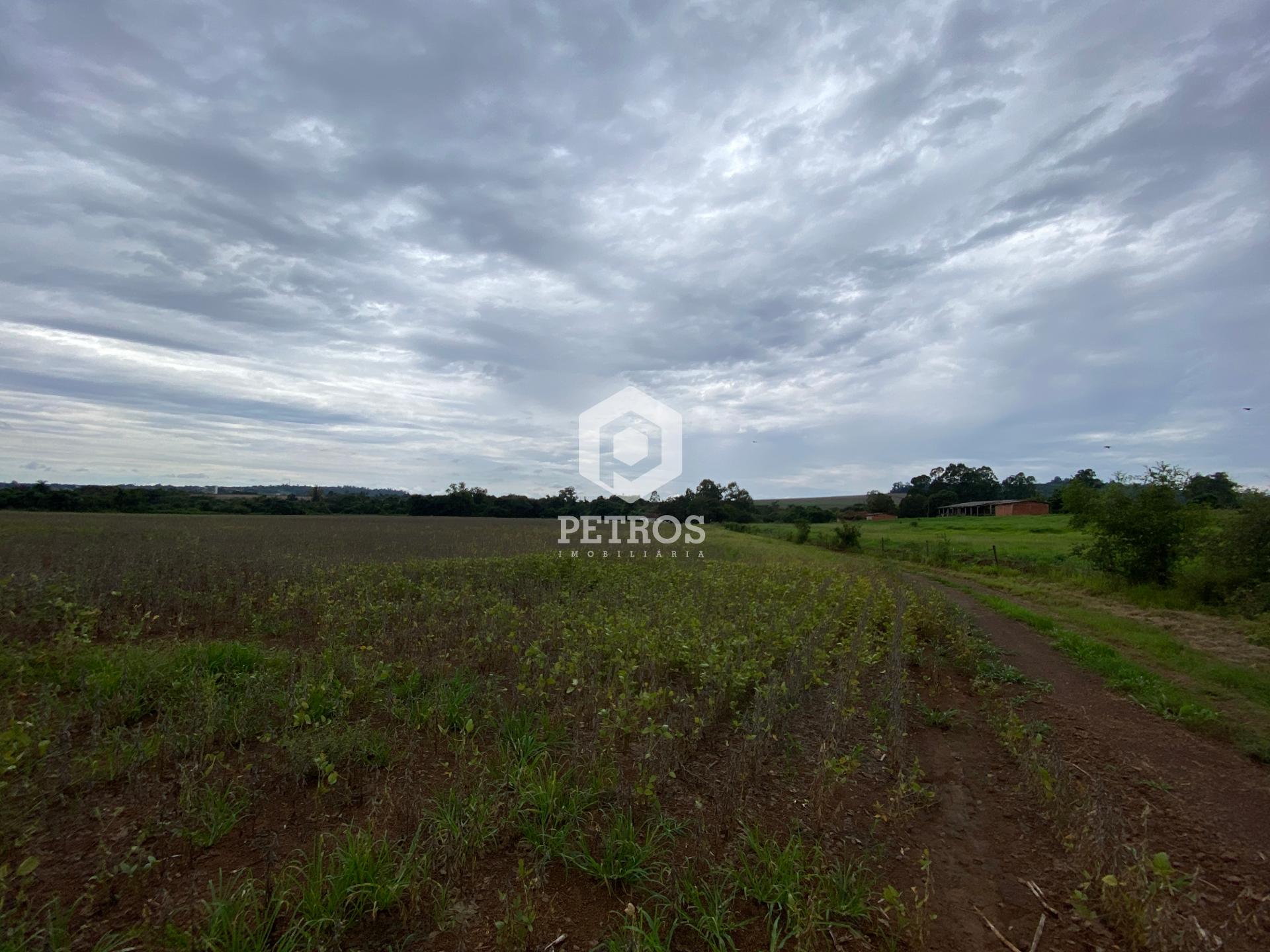Imobiliria Petros em Toledo Paran