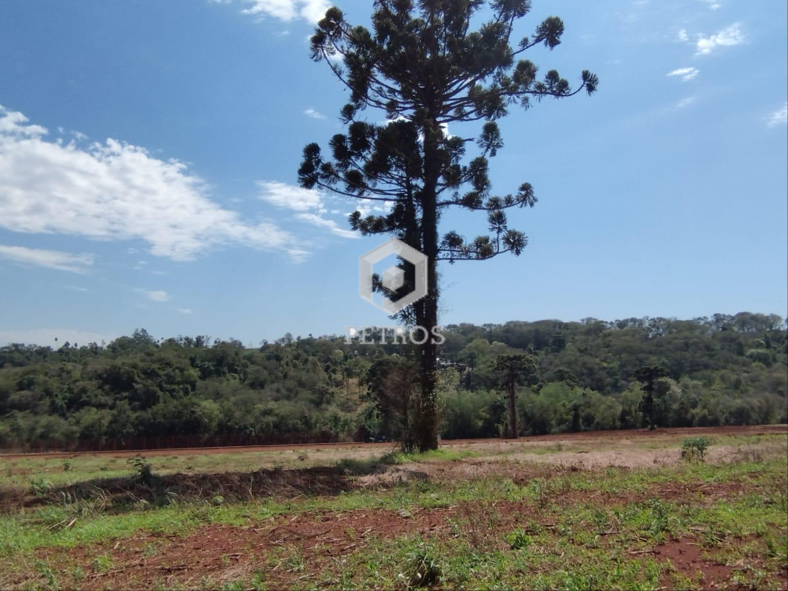 Imobiliria Petros em Toledo Paran