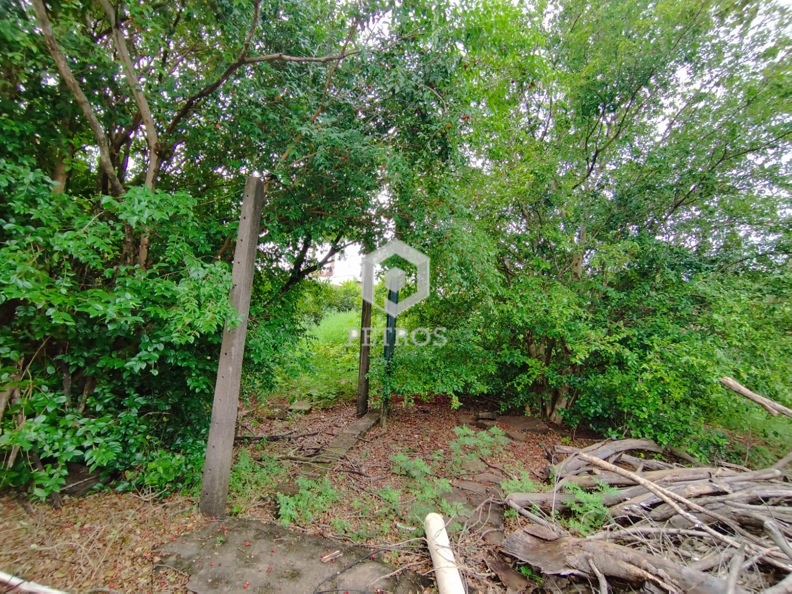 Imobiliria Petros em Toledo Paran