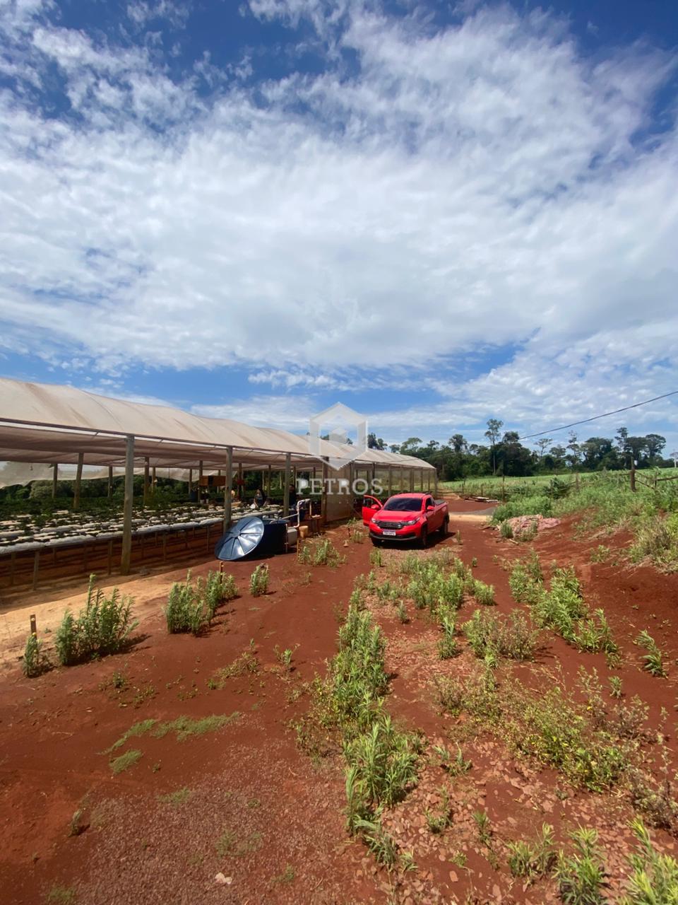 Imobili�ria Petros em Toledo Paran�