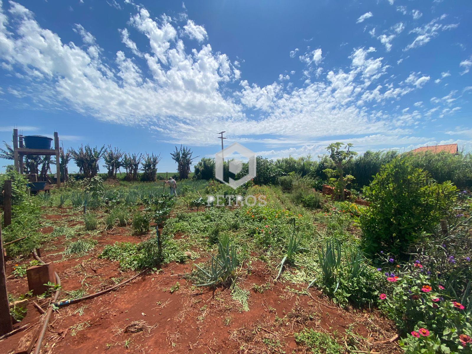 Imobili�ria Petros em Toledo Paran�