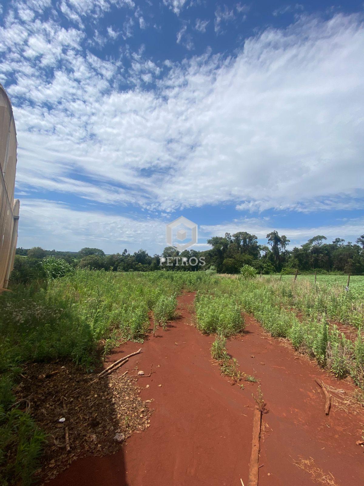 Imobili�ria Petros em Toledo Paran�