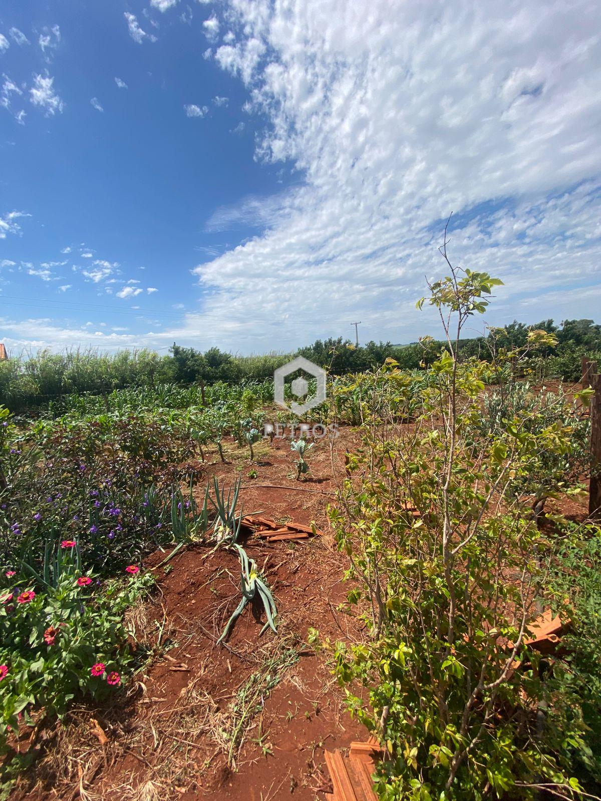 Imobili�ria Petros em Toledo Paran�