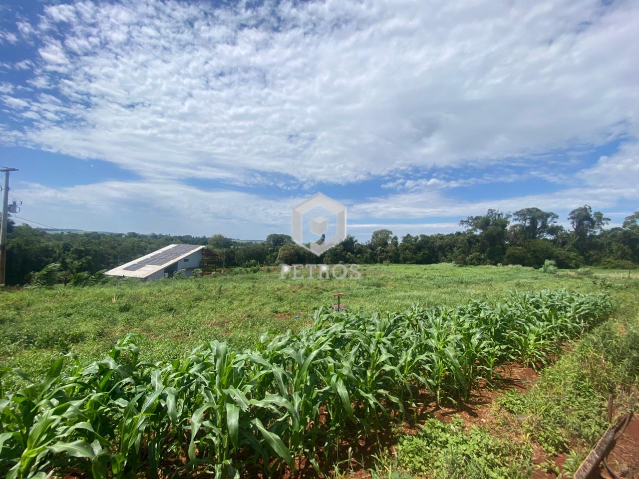 Imobili�ria Petros em Toledo Paran�