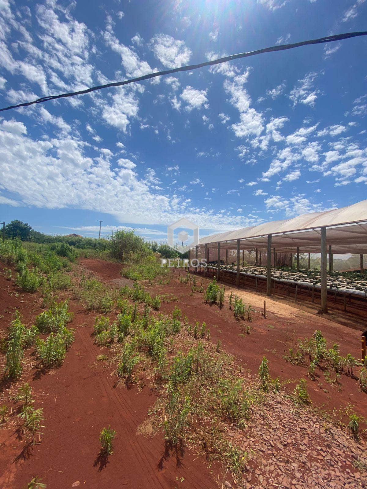 Imobili�ria Petros em Toledo Paran�