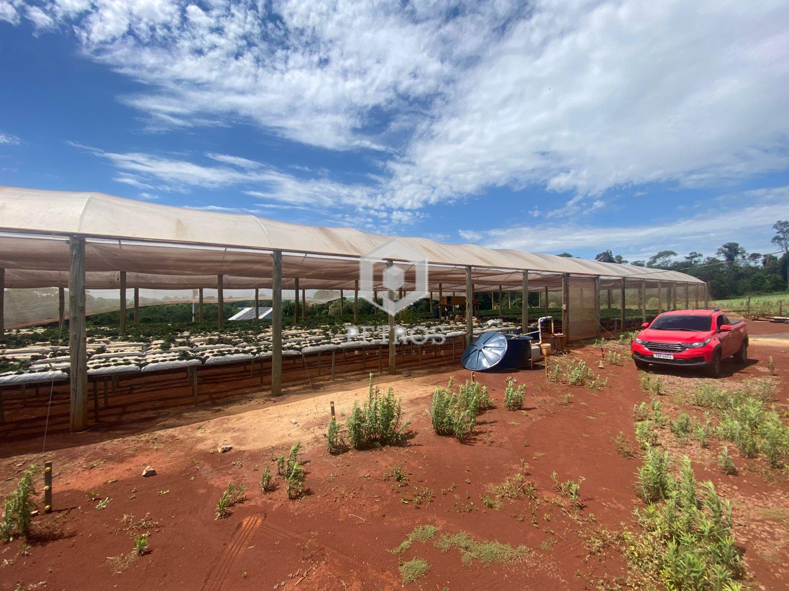 Imobili�ria Petros em Toledo Paran�