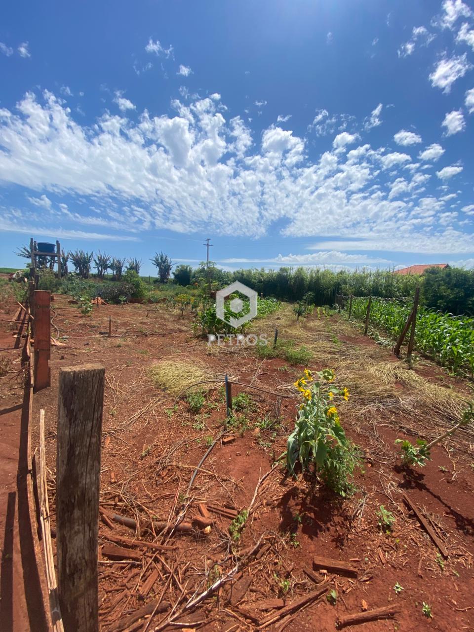 Imobili�ria Petros em Toledo Paran�