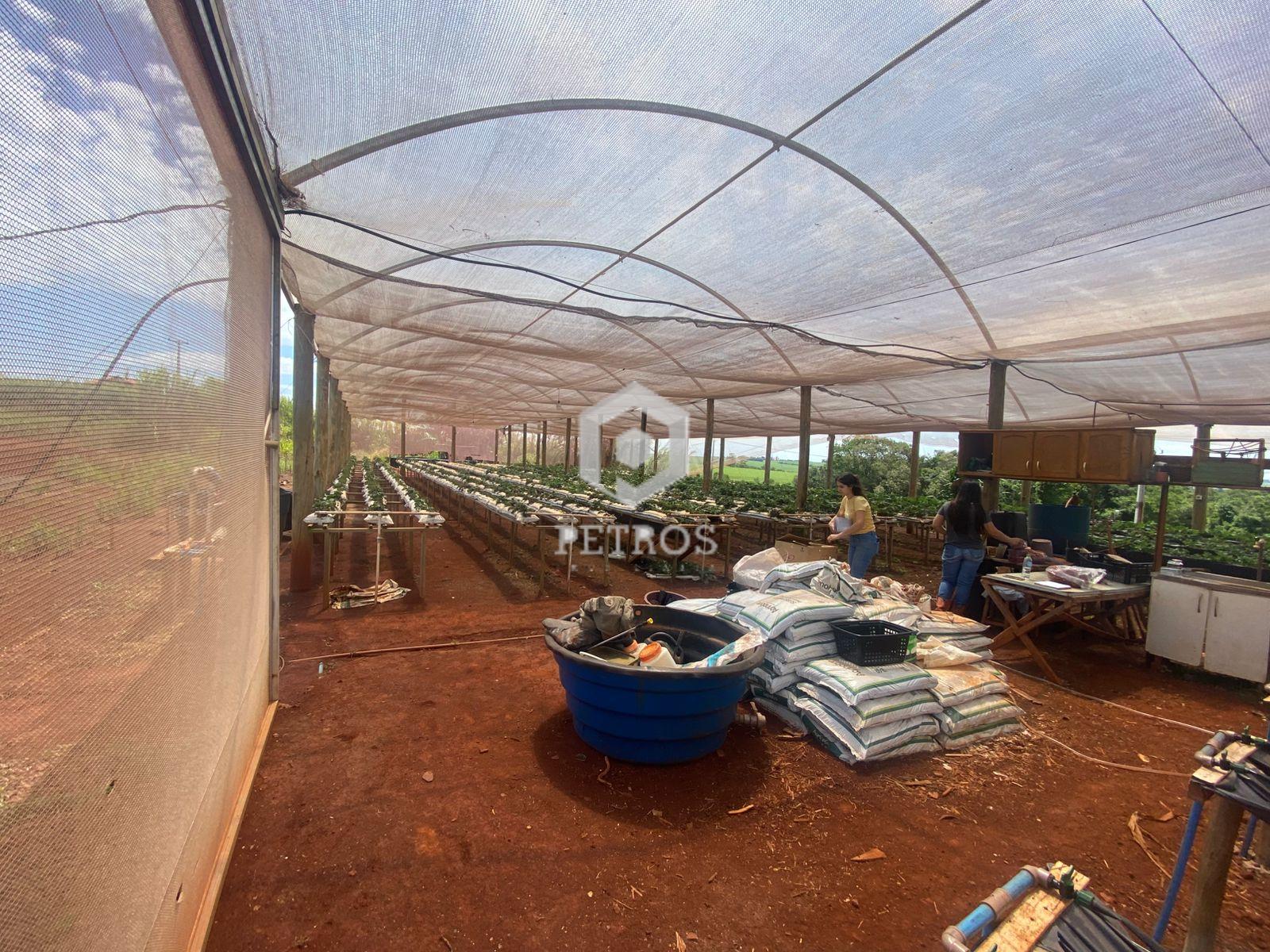 Imobili�ria Petros em Toledo Paran�