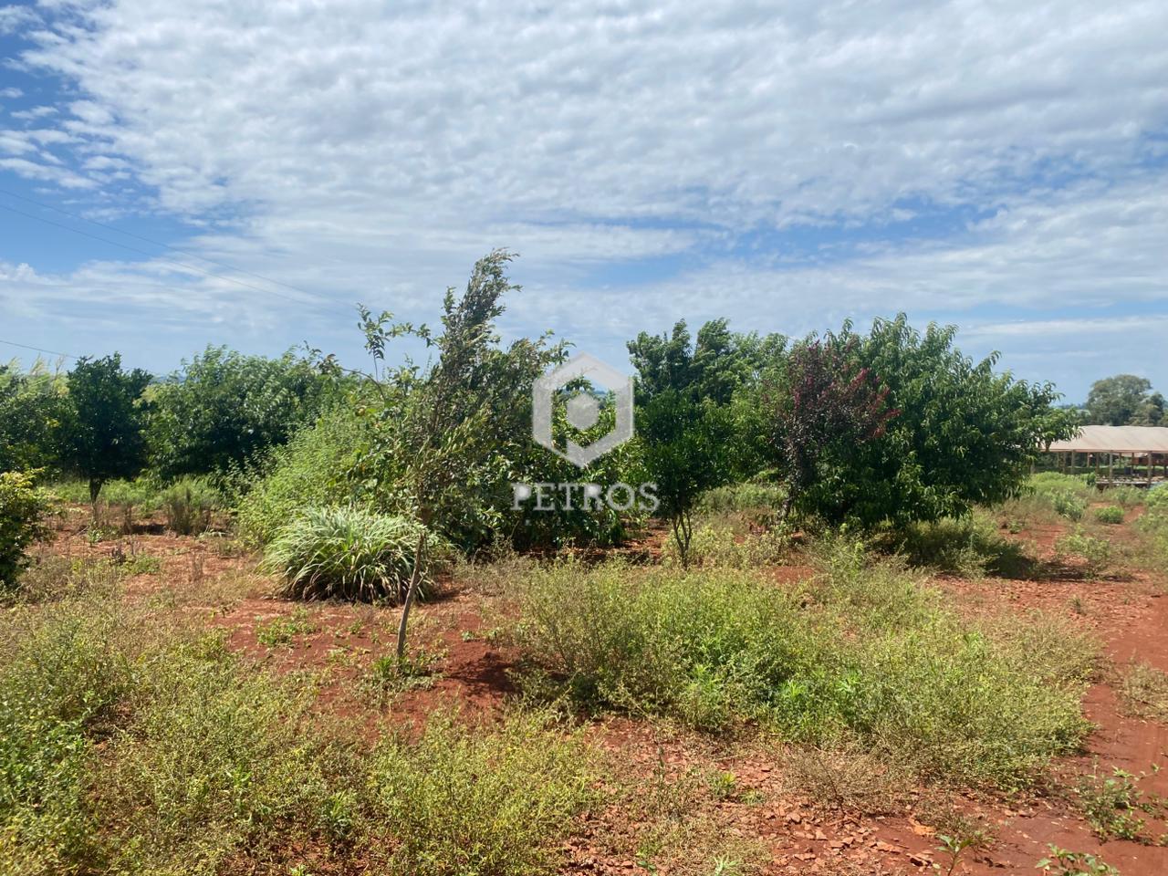 Imobili�ria Petros em Toledo Paran�