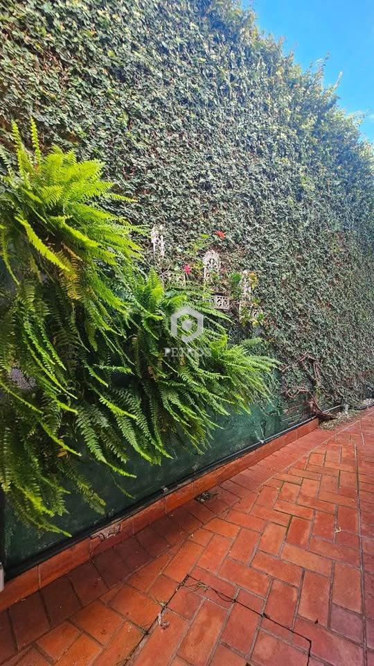 Imobili�ria Petros em Toledo Paran�