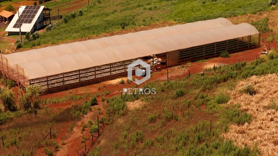 Imobili�ria Petros em Toledo Paran�