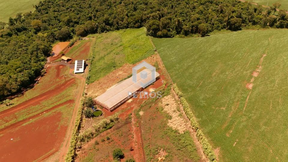 Imobili�ria Petros em Toledo Paran�