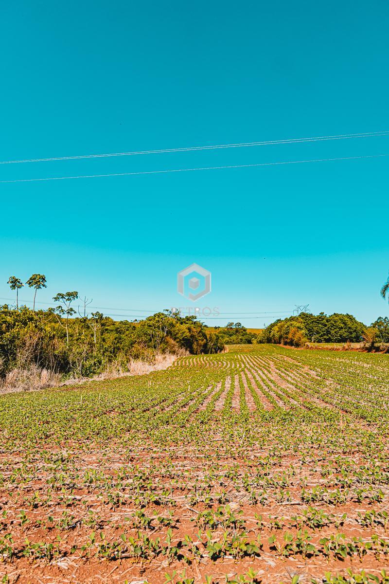 Imobili�ria Petros em Toledo Paran�