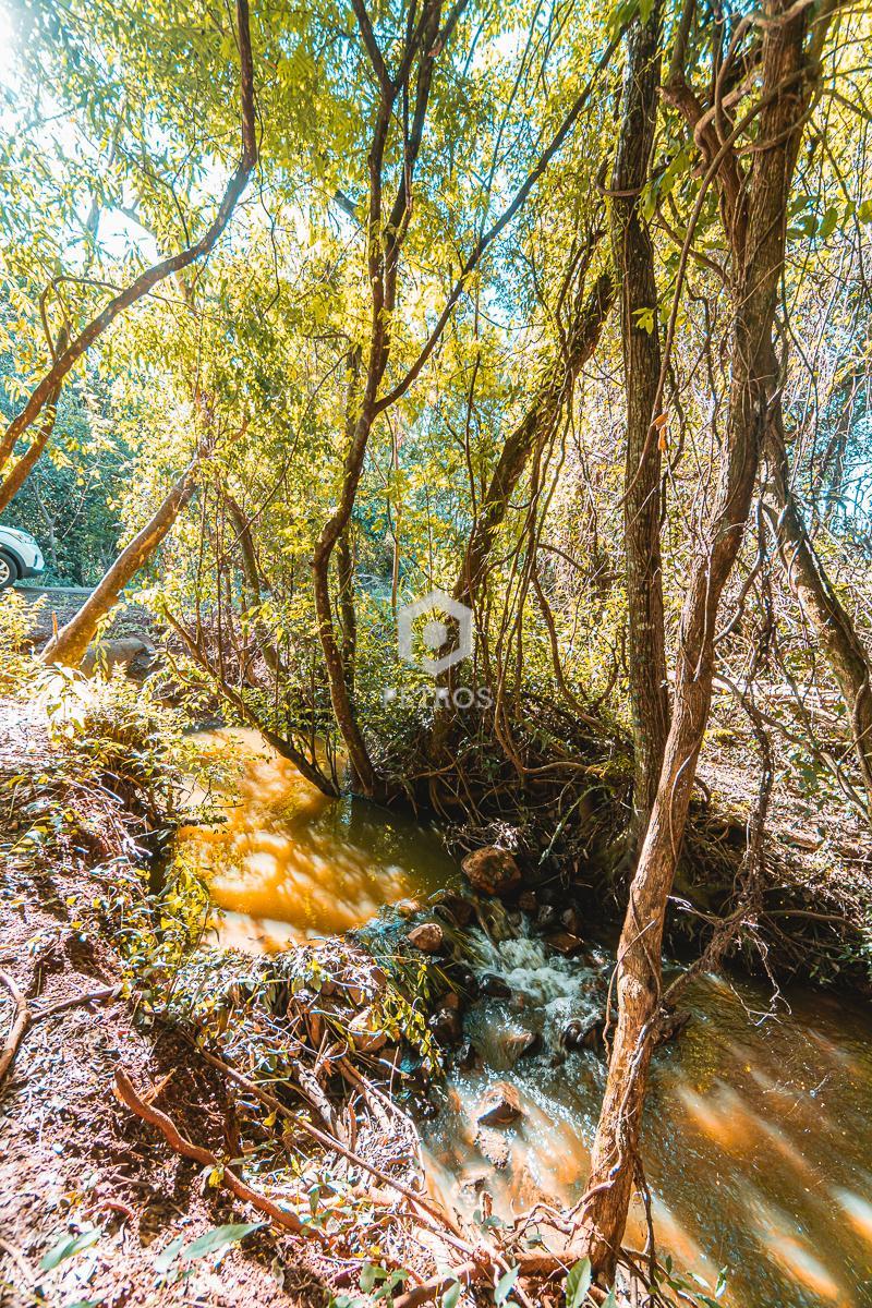 Imobili�ria Petros em Toledo Paran�