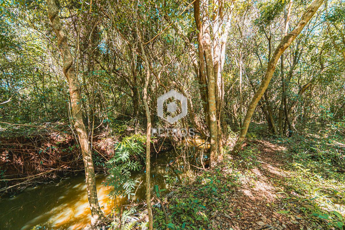 Imobili�ria Petros em Toledo Paran�