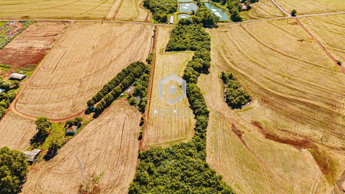 Imobili�ria Petros em Toledo Paran�