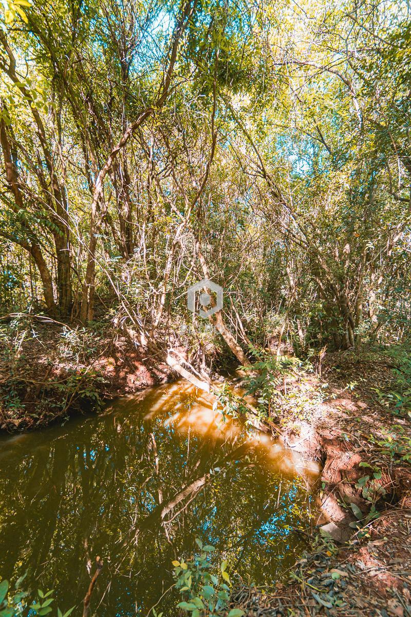 Imobili�ria Petros em Toledo Paran�