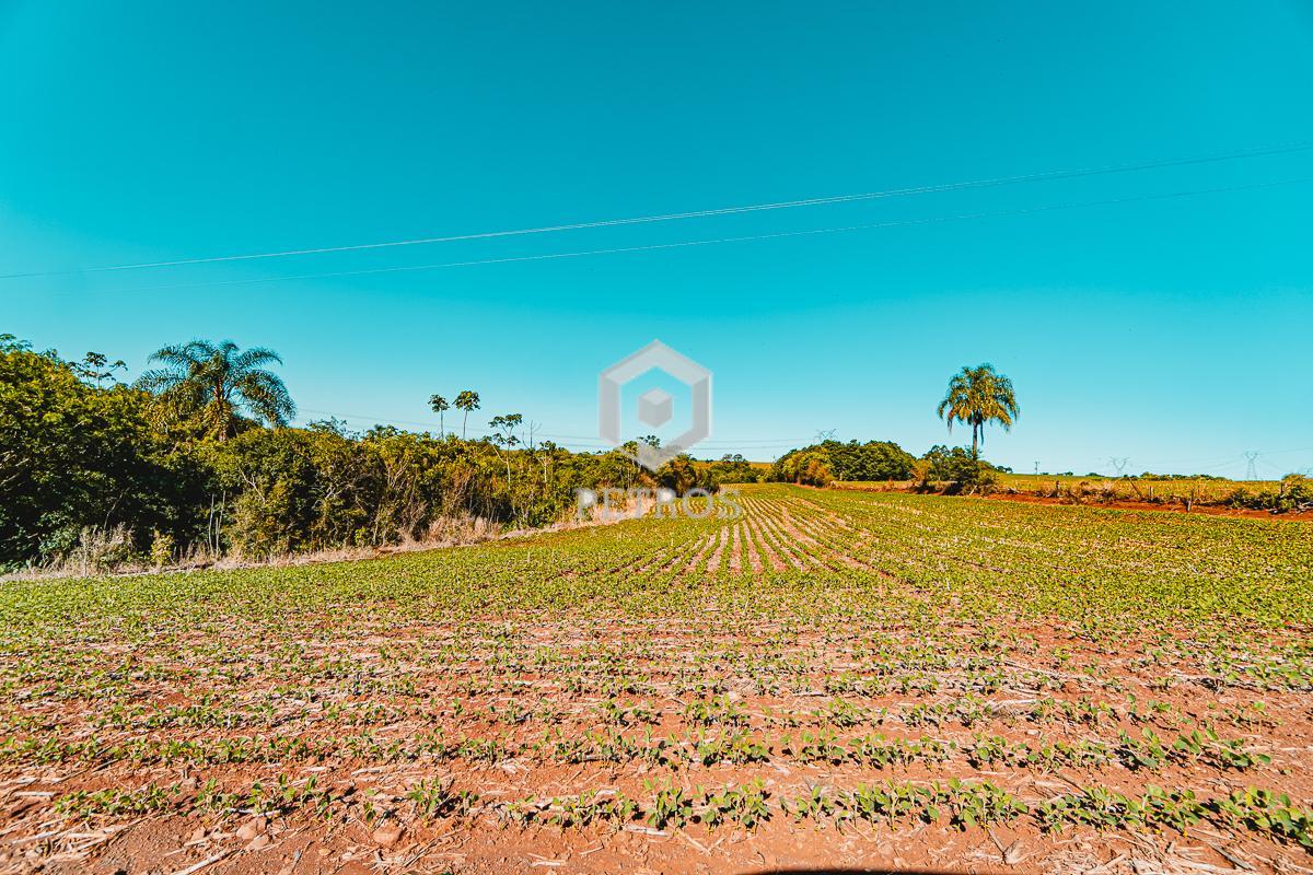 Imobili�ria Petros em Toledo Paran�