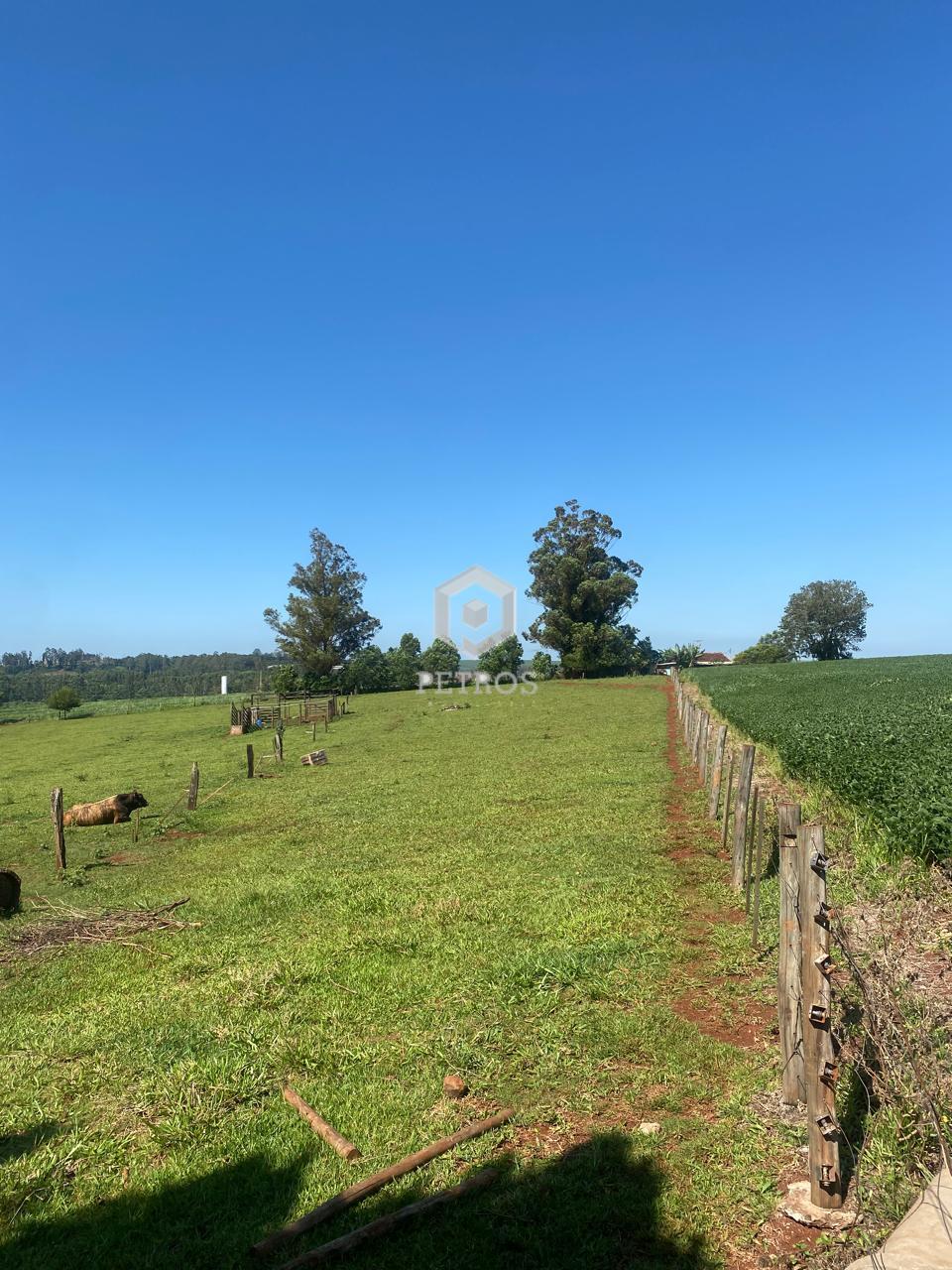 Imobili�ria Petros em Toledo Paran�