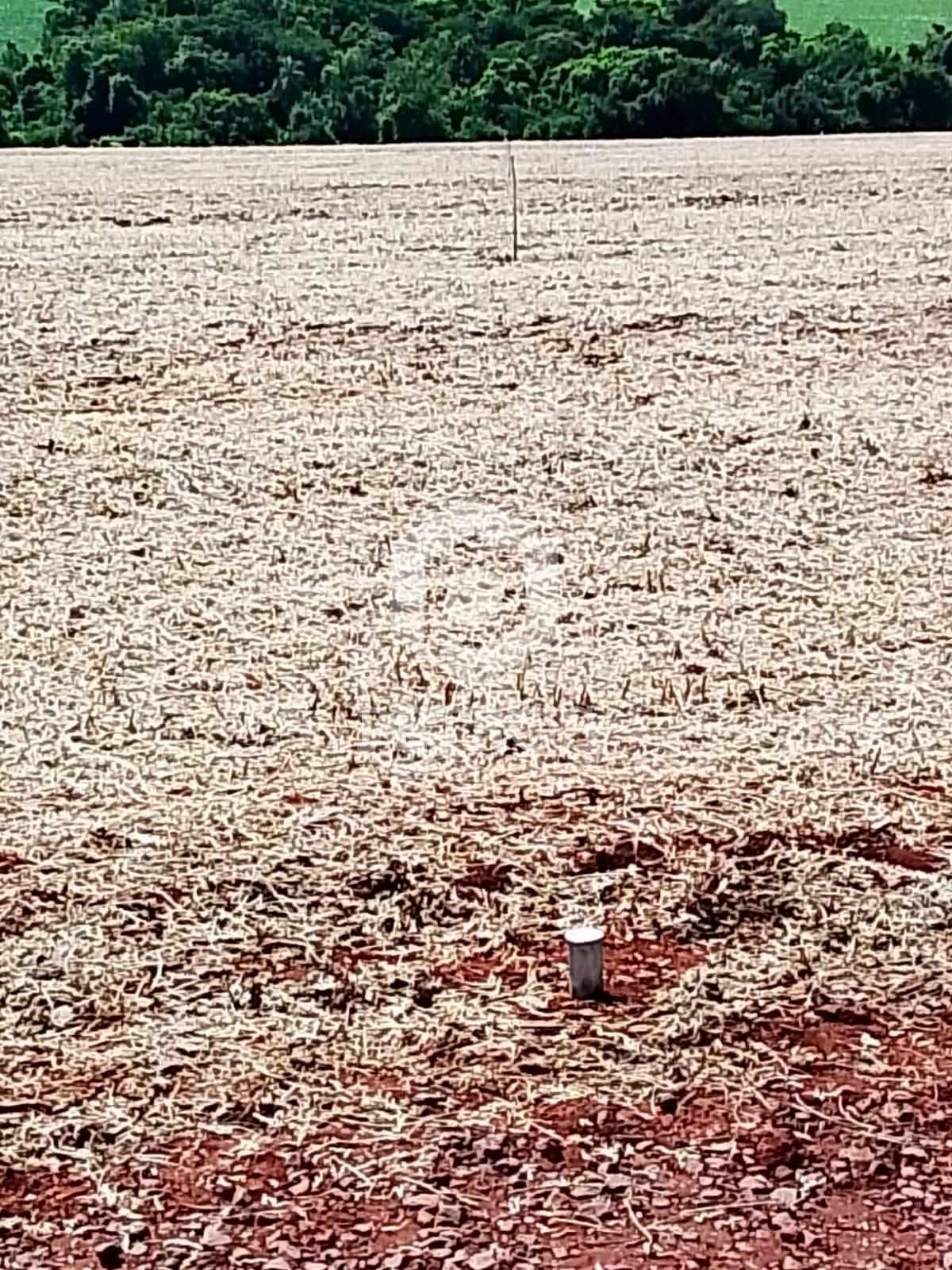 Imobili�ria Petros em Toledo Paran�