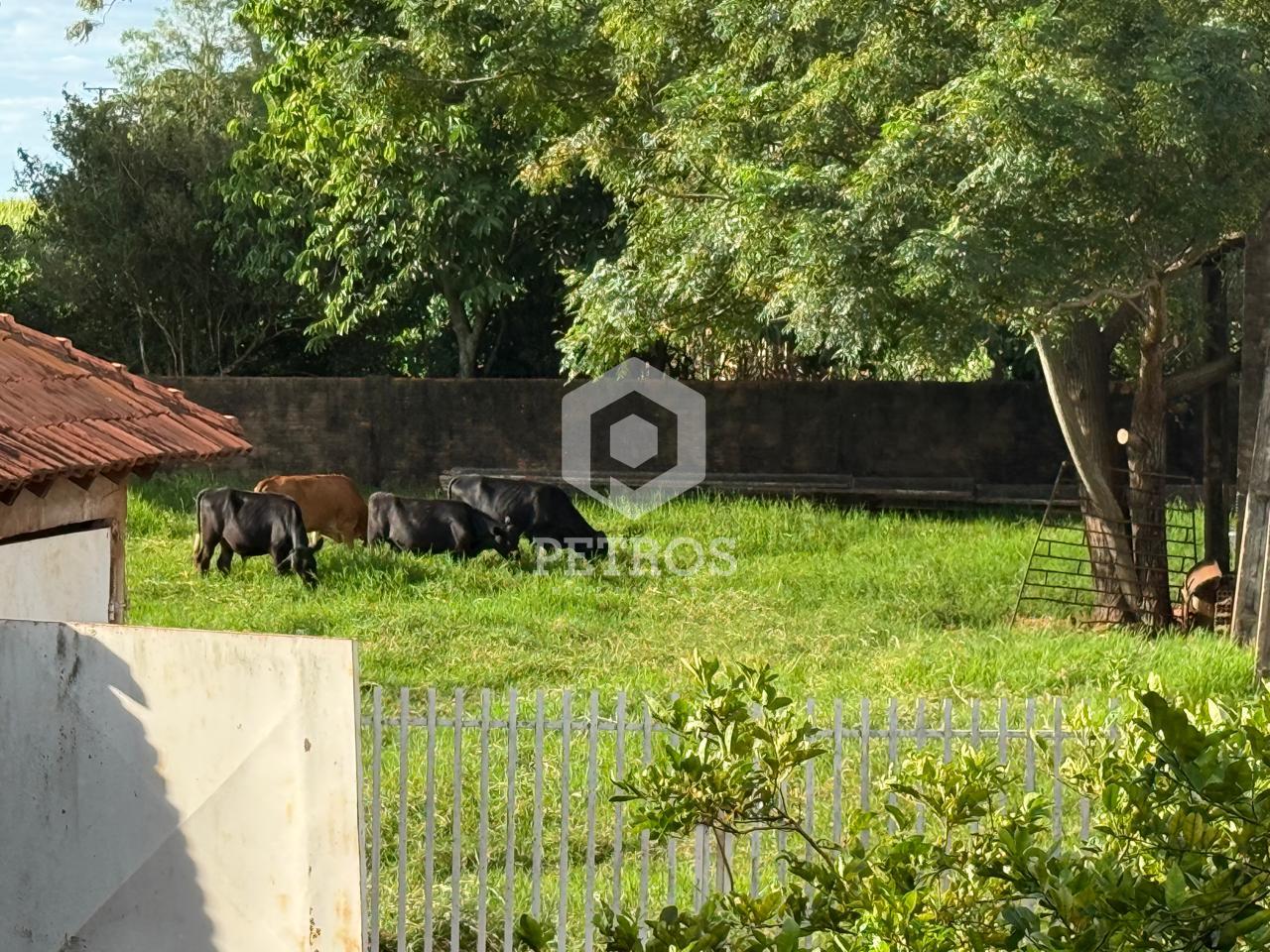 Imobili�ria Petros em Toledo Paran�