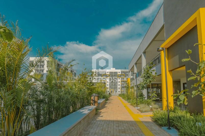 Imobili�ria Petros em Toledo Paran�