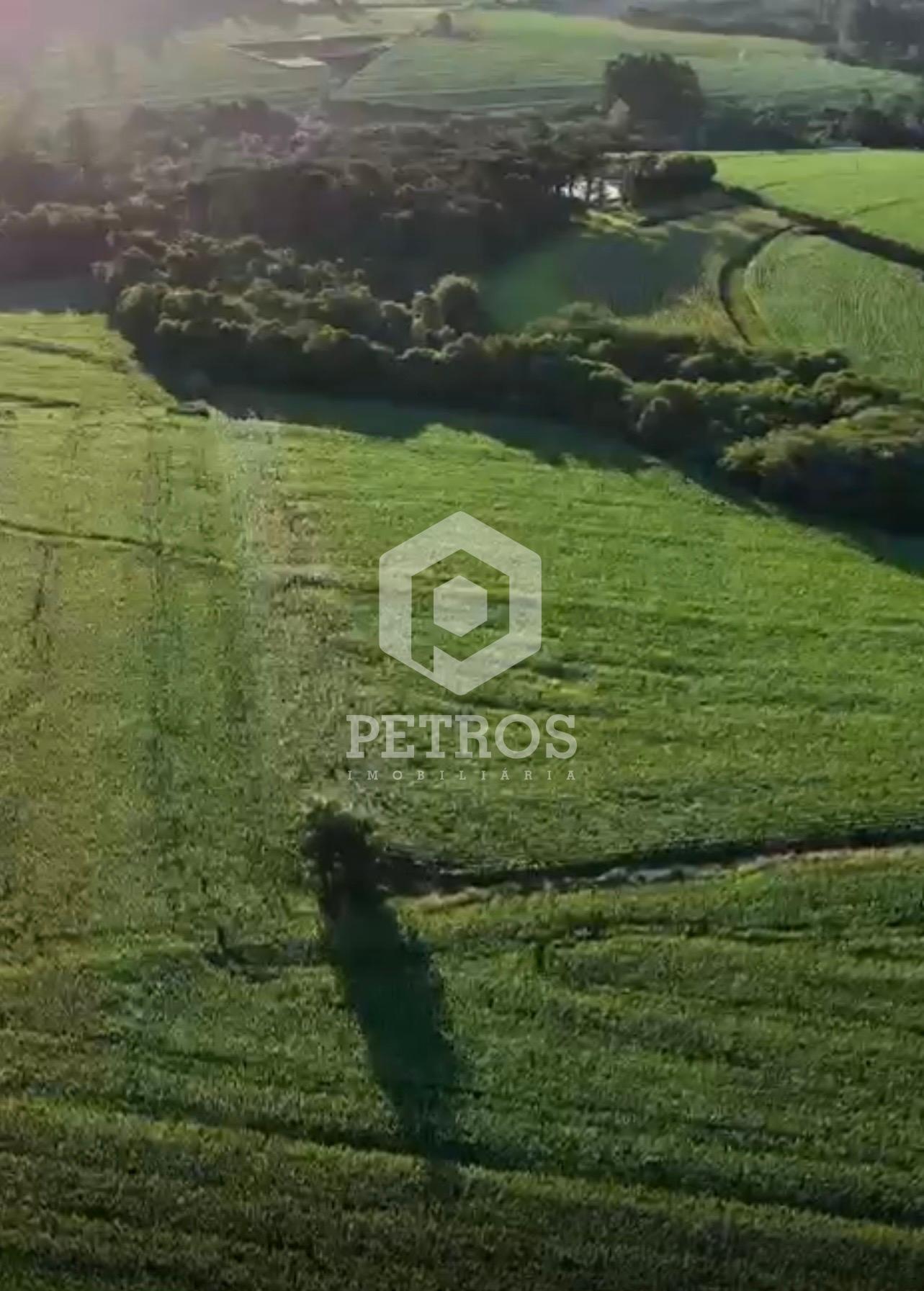 Imobili�ria Petros em Toledo Paran�