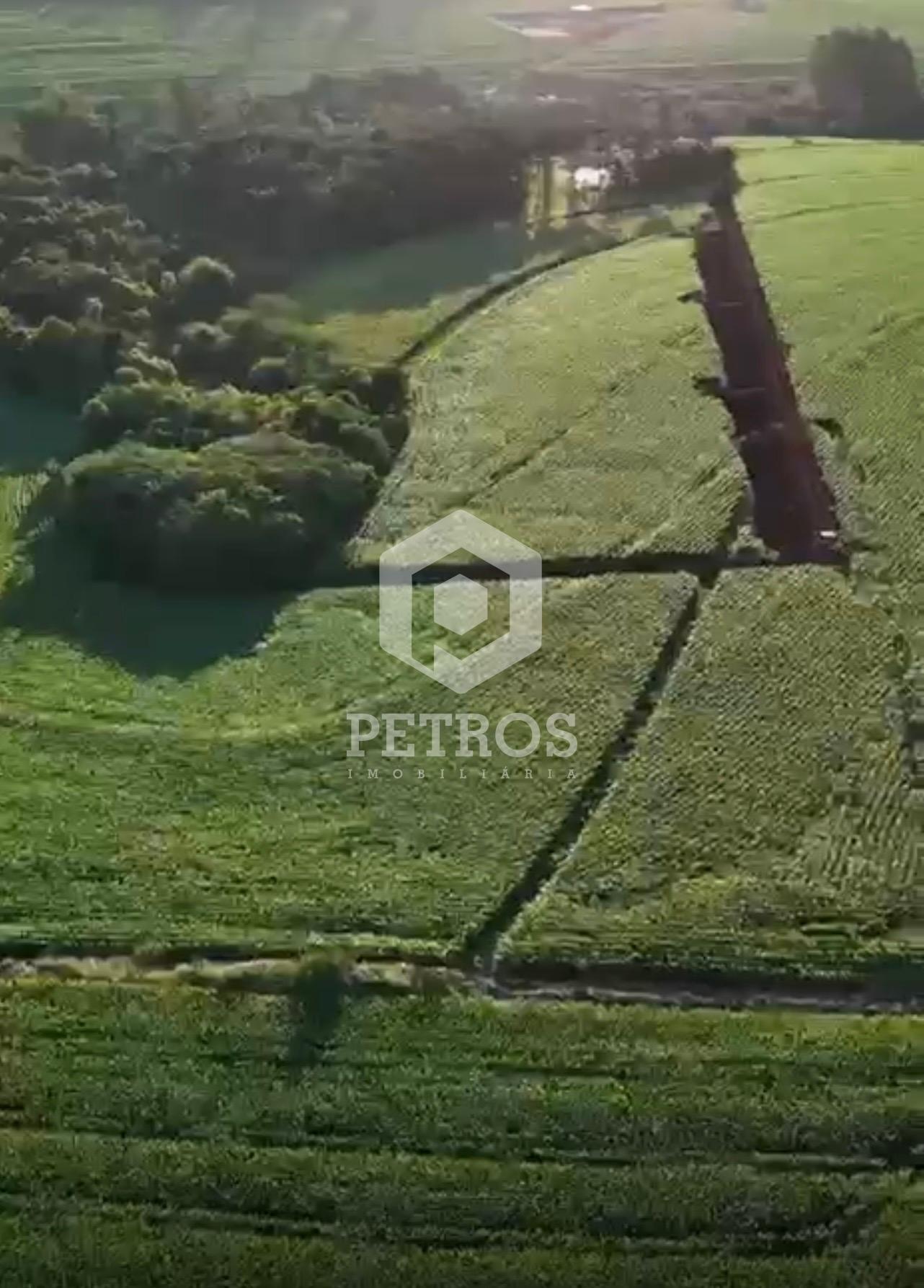 Imobili�ria Petros em Toledo Paran�