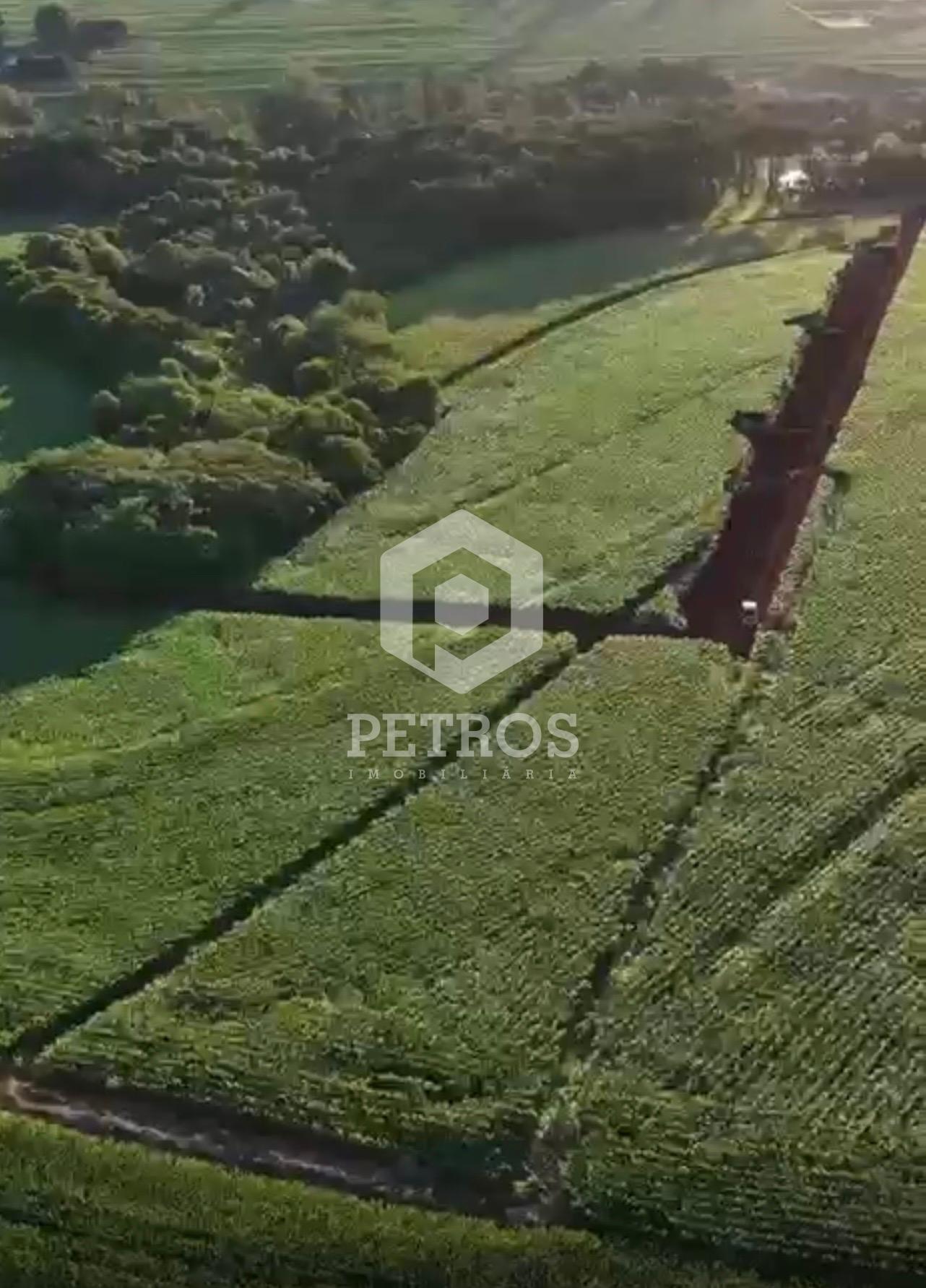 Imobili�ria Petros em Toledo Paran�