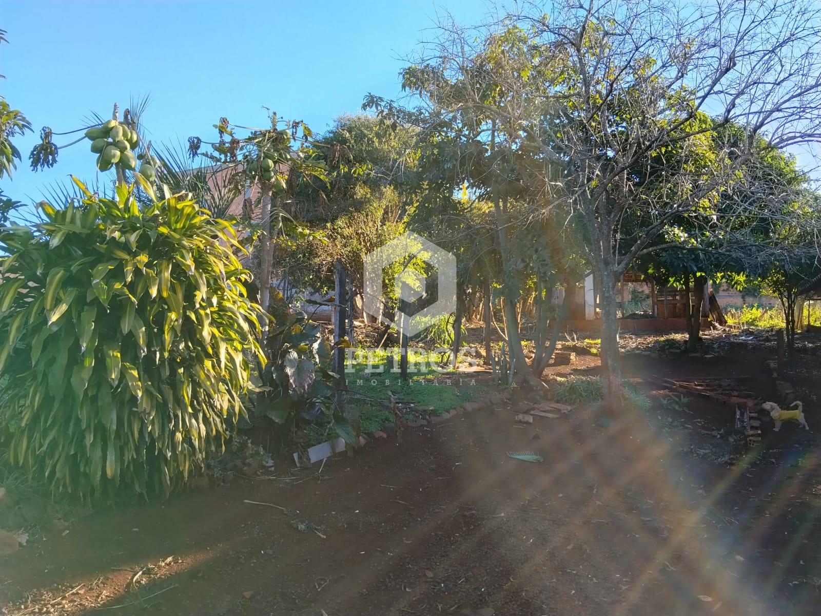 Imobili�ria Petros em Toledo Paran�