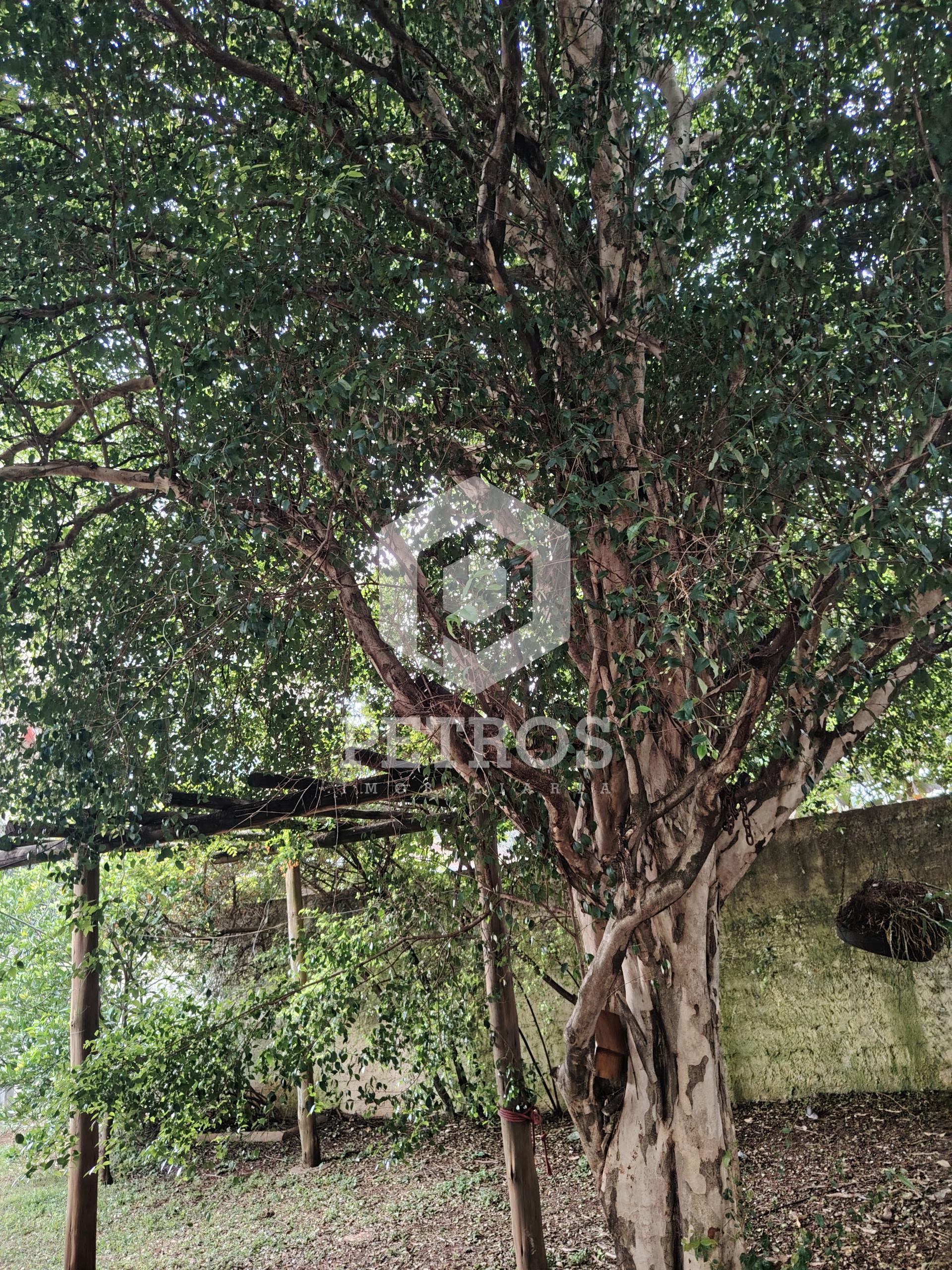 Imobili�ria Petros em Toledo Paran�