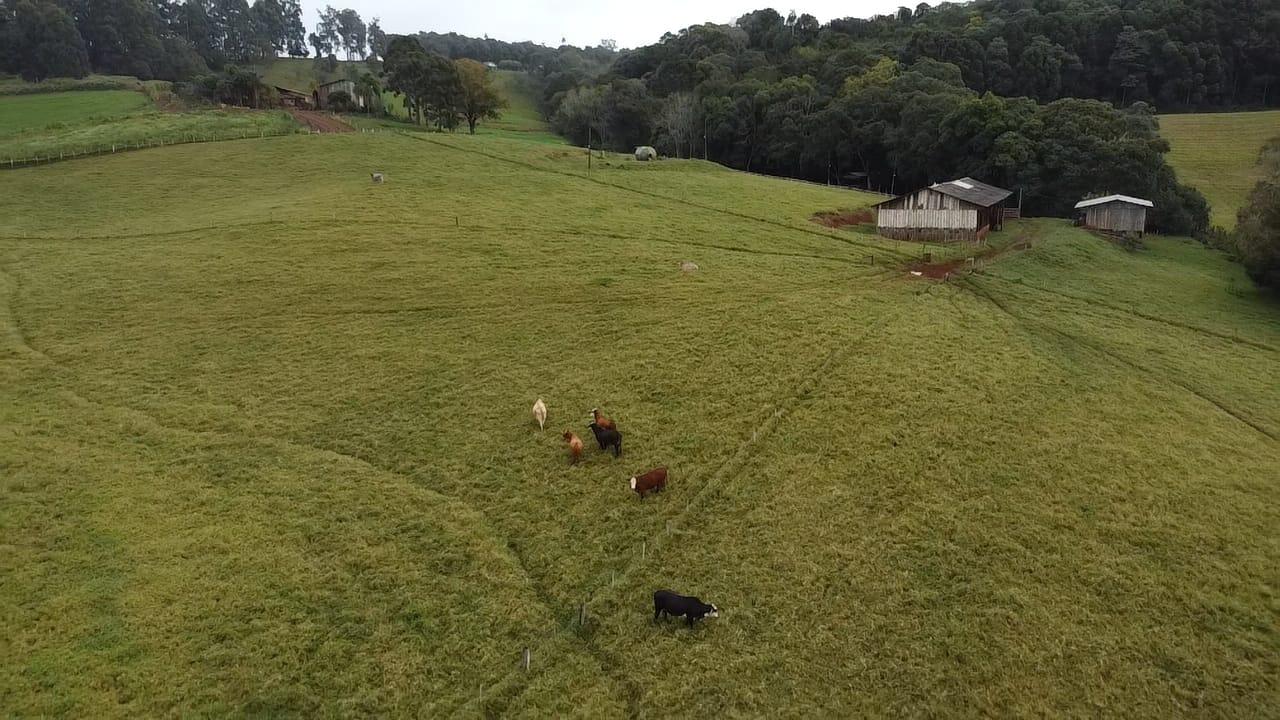 Chácara à venda, FAZENDA DA BARRA, PATO BRANCO - PR