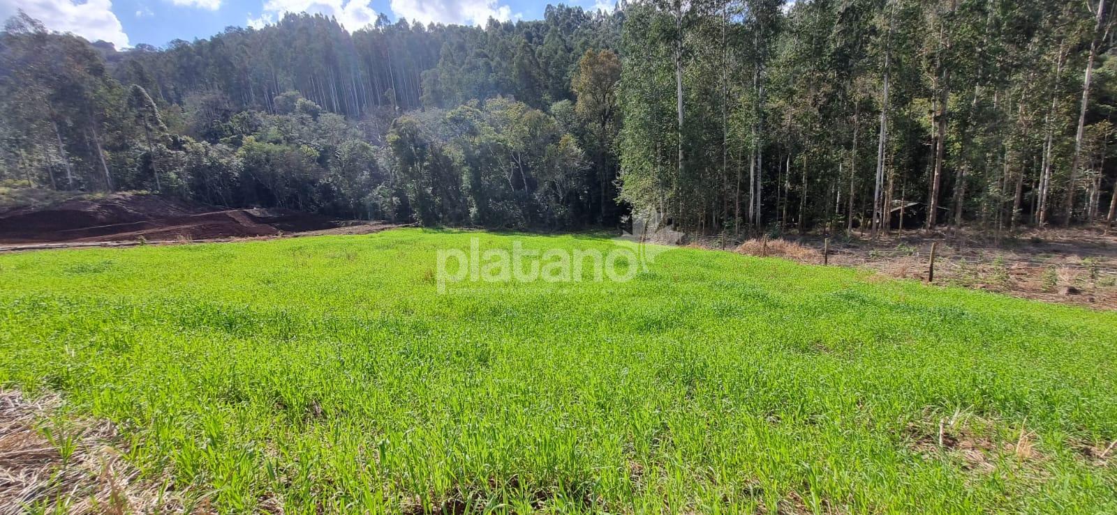 Chácara à venda, CACHOEIRINHA, PATO BRANCO - PR