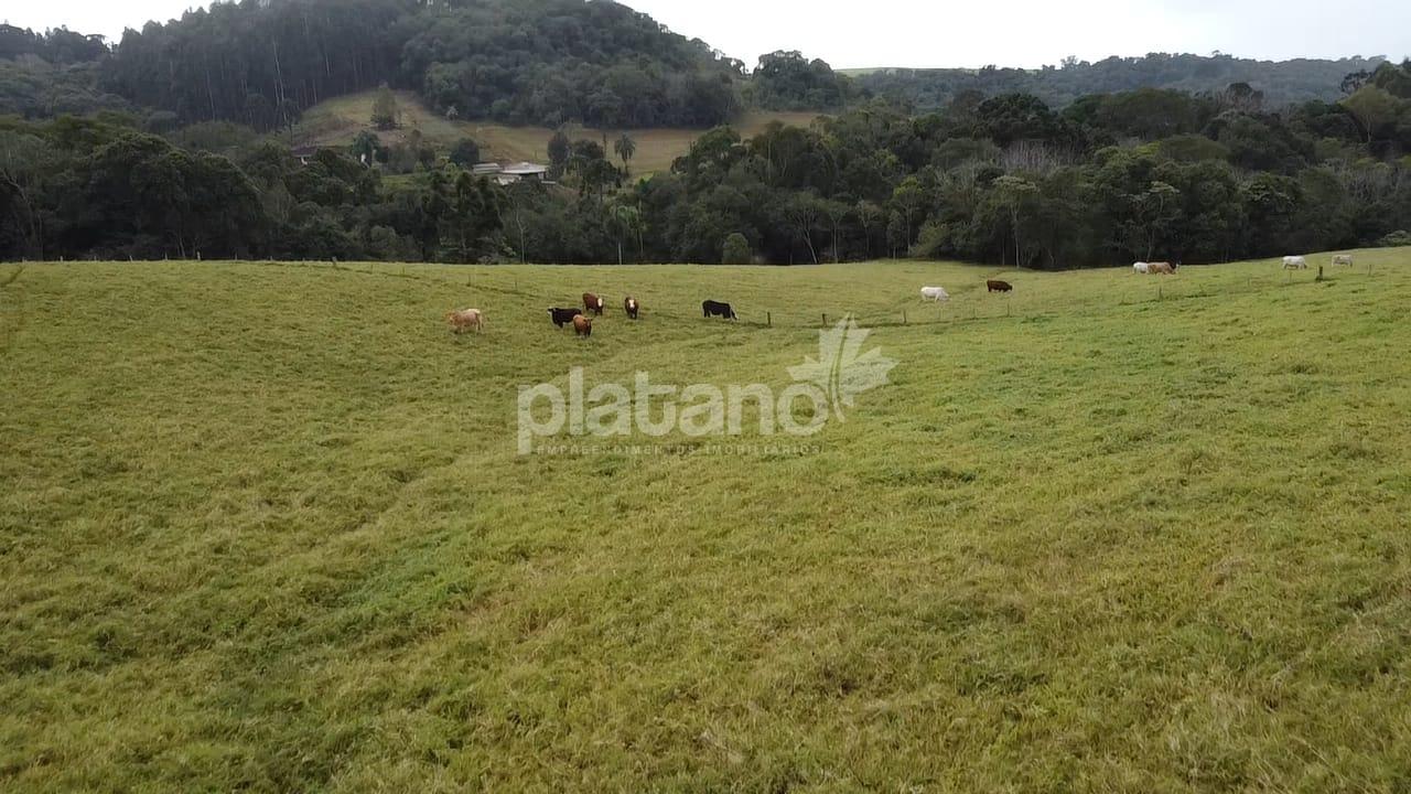 Chácara à venda, FAZENDA DA BARRA, PATO BRANCO - PR