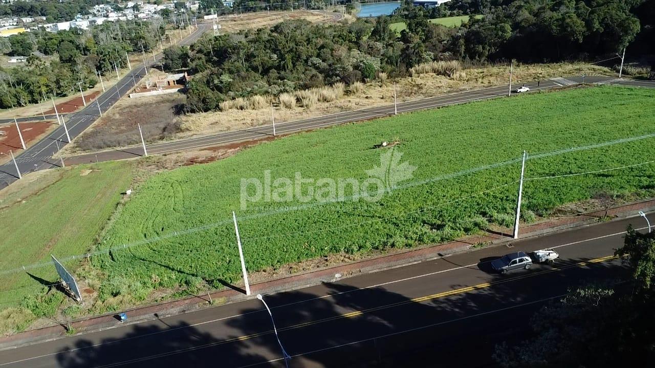 Terreno, BORTOT, PATO BRANCO - PR